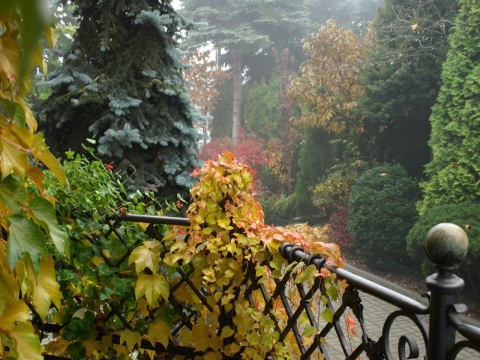 u nas jesienią
